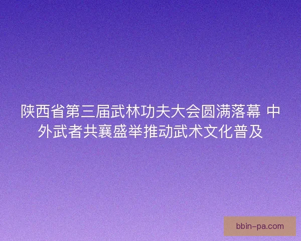 陕西省第三届武林功夫大会圆满落幕 中外武者共襄盛举推动武术文化普及