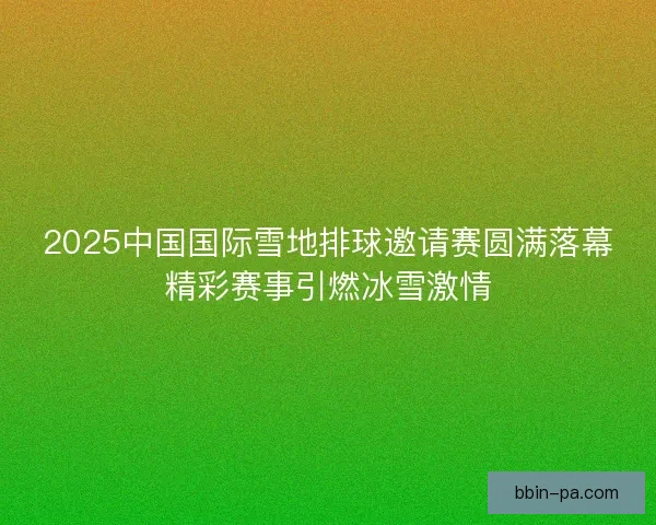 2025中国国际雪地排球邀请赛圆满落幕精彩赛事引燃冰雪激情